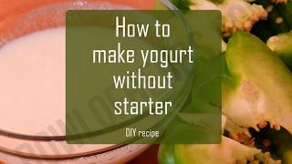 How To Make Yogurt Or Curd Without Starter  Bowl Of Herbs