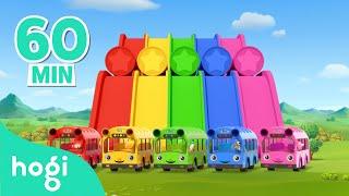 Learn Colors with Slide and Bus  Compilation  BEST Colors for Kids  Pinkfong & Hogi