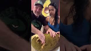 Jackfruit Natures squishy treat #jackfruit #fruit #tropicalfruit