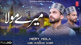 Mery Mola  Heart Touching Kalam By Aqib Hussain Sabri  Studio BRT