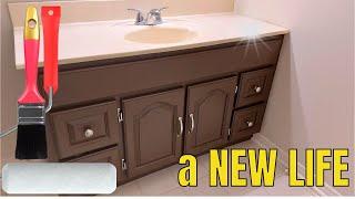 Get A New Look For Your Bathroom By Painting Your Oak Cabinets