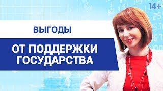 Какую помощь можно получить от государства?  Виды и формы поддержки государства 14+