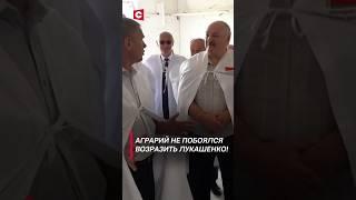 Аграрий не побоялся возразить Лукашенко Архив #shorts #лукашенко #новости #политика #беларусь