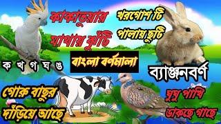 aye ajagar oi ojogor  অ আ ই ঈ বাংলা বর্ণমালা   Bornomala  অ আ ক খ  অ অজগর আসছে তেড়ে কার্টুন