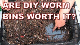 Stop wasting money DIY worm bins demystified-Red Wigglers