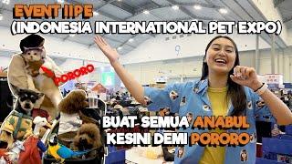 DEMI KETEMU KUCING VIRAL PORORO  DATANG KE EVENT IIPE  TERNYATA...