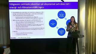 Vätgasens samlade påverkan på elsystemet och dess roll i energi  och klimatomställningen