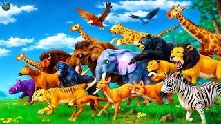 The Great Escape Zoo Animals Break Free  Animal Escape Adventures  Lion Tiger Elephant Gorilla