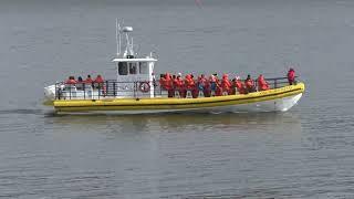 А видно ли китов с берега? Краски осени #quebec #baleine #жизньвканаде