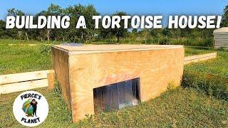 Easy Shelter Build For Sulcata Tortoises Pt.2