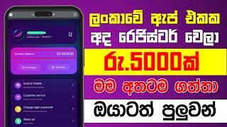 පොඩි අයටත් පුළුවන්  online jobs at home  e money sinhala  online salli hoyana krama  online jobs