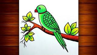 Parrot Drawing  How to Draw Parrot Step by Step  Bird Scenery Drawing  Draw Parrot...