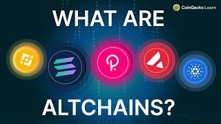 What Are Altchains? Layer 0 Layer 1 And Layer 2 Explained