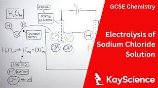 Electrolysis of Sodium Chloride Solution - GCSE Chemistry  kayscience.com
