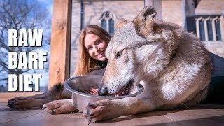 RAW FOOD FOR DOGS - THE BARF DIET  Animal Watch