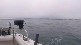 Winter Spring Fishing With No Bananas Fishing Charters