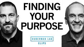 How to Find Your Purpose in Life  Dr. EJ Chichilnisky & Dr. Andrew Huberman