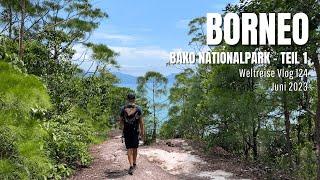 Borneo - Bako Nationalpark Teil 1  Malaysia • Weltreise Vlog 124