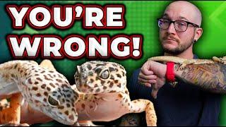 Youre WRONG About Cohabbing Reptiles  Reptile Cohab Dos and Donts For Success