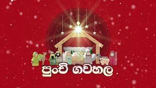 PUNCHI GAWAHALA පුංචි ගවහල - 25 12 2021