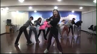 Girls Generation 소녀시대 I GOT A BOY Dance Practice