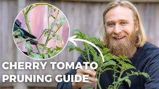 How to Prune Cherry Tomatoes Maximum Yield for Your Effort