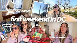 first weekend living in DC new vanity flea market National Mall haircare Trader Joes haul