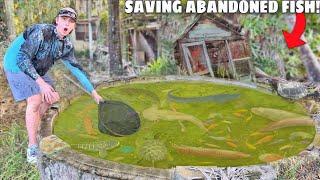 Saving Fish & Turtles From ABANDONED POND