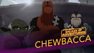 Chewbacca - Wookiee Warrior   Star Wars Galaxy of Adventures