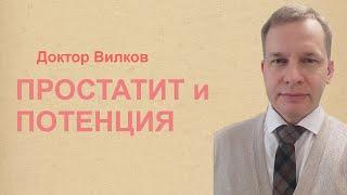 Простатит и потенция  Врач-сексолог