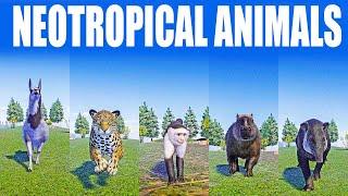 Neotropical Animals Speed Race in Planet Zoo included Tapir  Capybara  Jaguar  Llama Monkey