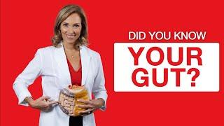 3 Things You May Not Know About Your Gut Health  Dr. Janine