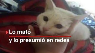 ¡JUSTICIA  Atacan con BOMBAS molotov casa de menor que mató a gatito y lo presumió en redes