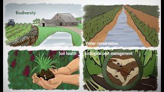 What is Sustainable Agriculture? Episode 1 A Whole-Farm Approach to Sustainability