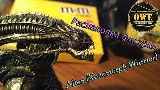 Распаковка фигурки Чужого с AliExpress Xenomorph Warrior