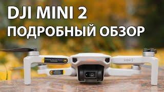 DJI Mini 2 подробный обзор