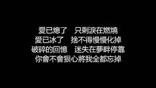 許茹芸 - 欲哭無淚歌詞版