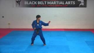 1st Dan Black Belt Poomsae -Koryo- Taekwondo