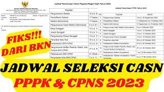 Rilis Resmi Jadwal Seleksi CASN 2023 dari BKNJadwal CPNS 2023 dan Jadwal Seleksi PPPK 2023