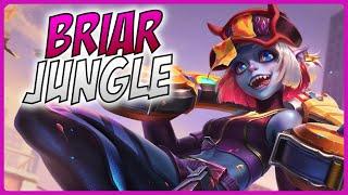 3 Minute Briar Guide - A Guide for League of Legends