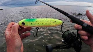 Approaching Storm Brought Surfcasting Fish - Fall Run Starting