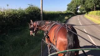 Retraining A Pacer - Learning to go from Track to Laid Back