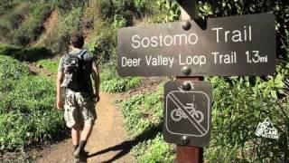 Los Angeles Hiking  Malibu  Tropical Terrace  Solstice Canyon  Presented by Hikes You Can Do