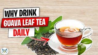 12 Amazing Benefits of Guava Leaf Tea You Are Unaware of