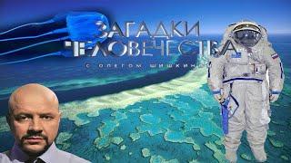 Загадки человечества с Олегом Шишкиным  Морская оса