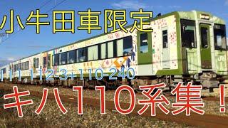 【小牛田車限定】バリエーション豊かなキハ110系集！！　快速湯けむり、快速最上川などキハ110系0番台、100番台、150番台、200番台