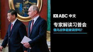 专家分析习普会：中国能调停俄乌战争吗？丨ABC中文