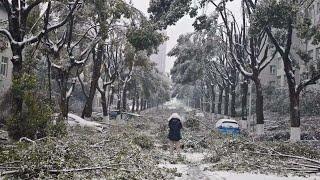 Crazy Snowstorm Hits China Trees Topple Roads Disappear in Natures Wrath