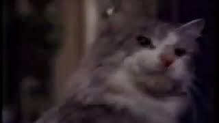 That Darn Cat Movie Trailer 1997 - TV Spot