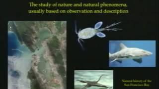 Lecture 01. Introduction to Ecology Biology 1B Fall 2010 UC Berkeley